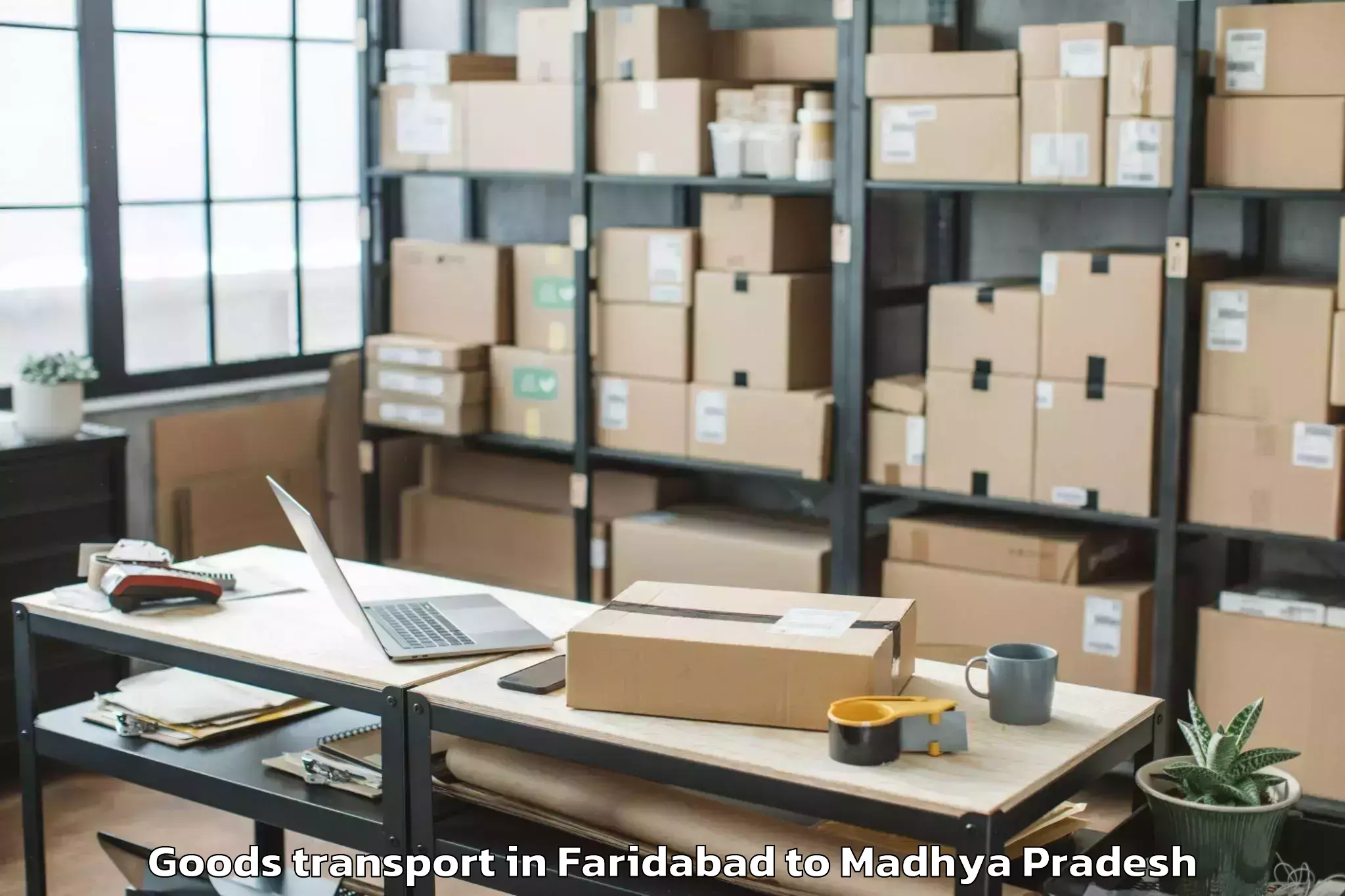 Easy Faridabad to Gandhwani Goods Transport Booking